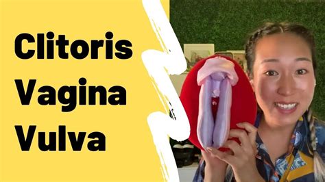 Women with a big clitoris - The vulva includes the inner lips (labia minora) and outer lips (labia majora), the clitoris, and the vaginal opening. Labia can be long or short, wrinkled or smooth, dark or light. One side is ...